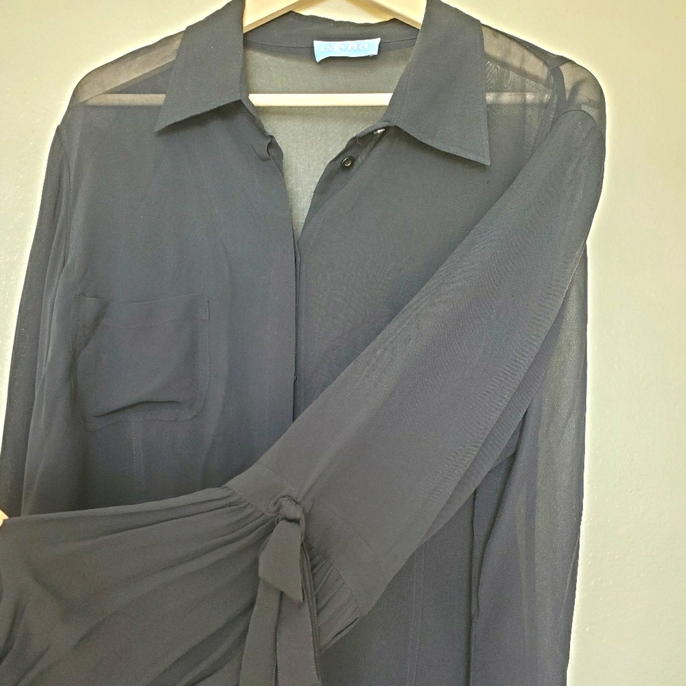Cavita sheer collard blouse